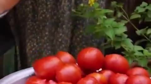 The Amish Secret To Preserving Tomatoes