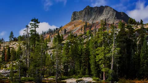 Silent Office – Lofi House Edition