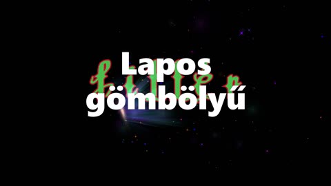 Fillér ¦ Lapos gömbölyű (dalszöveges audió)