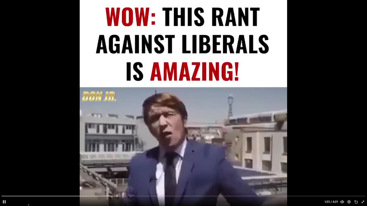Donald Trump Jr: This dude nailed it! - 4 min clip (Language warning)