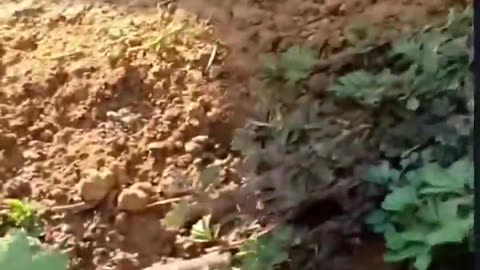 👥🏞️ Myanmar War | Glimpse of SSNDF/KNDF 103rd Battalion | RCF