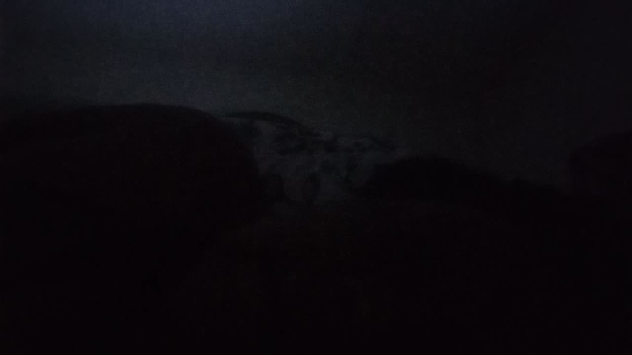 5/5/2025