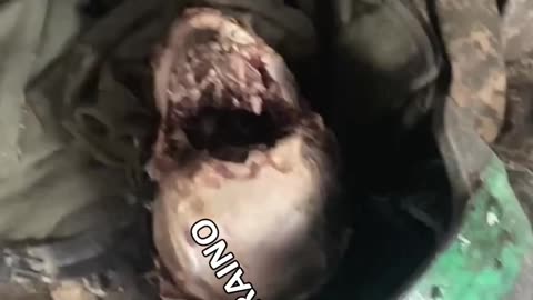 Ukraine war footage 5/12/25