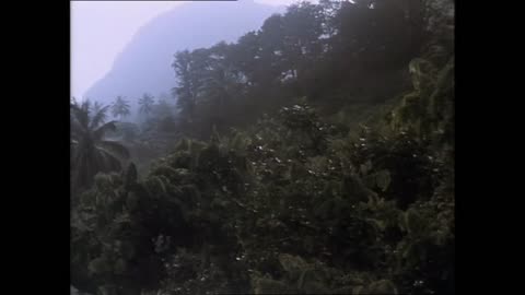 SURVIVAL ON THE MOUNTAIN (1997) 4k film