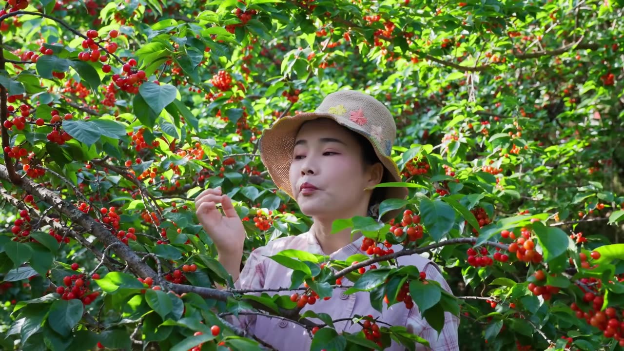 My Hometown Full Of Fruits
