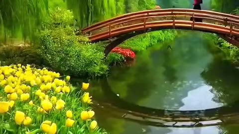 Happy Spring