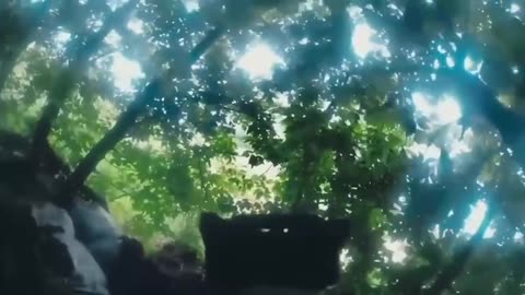 Episode of a gun battle with a Russian assault group in the Sumy region from the first person