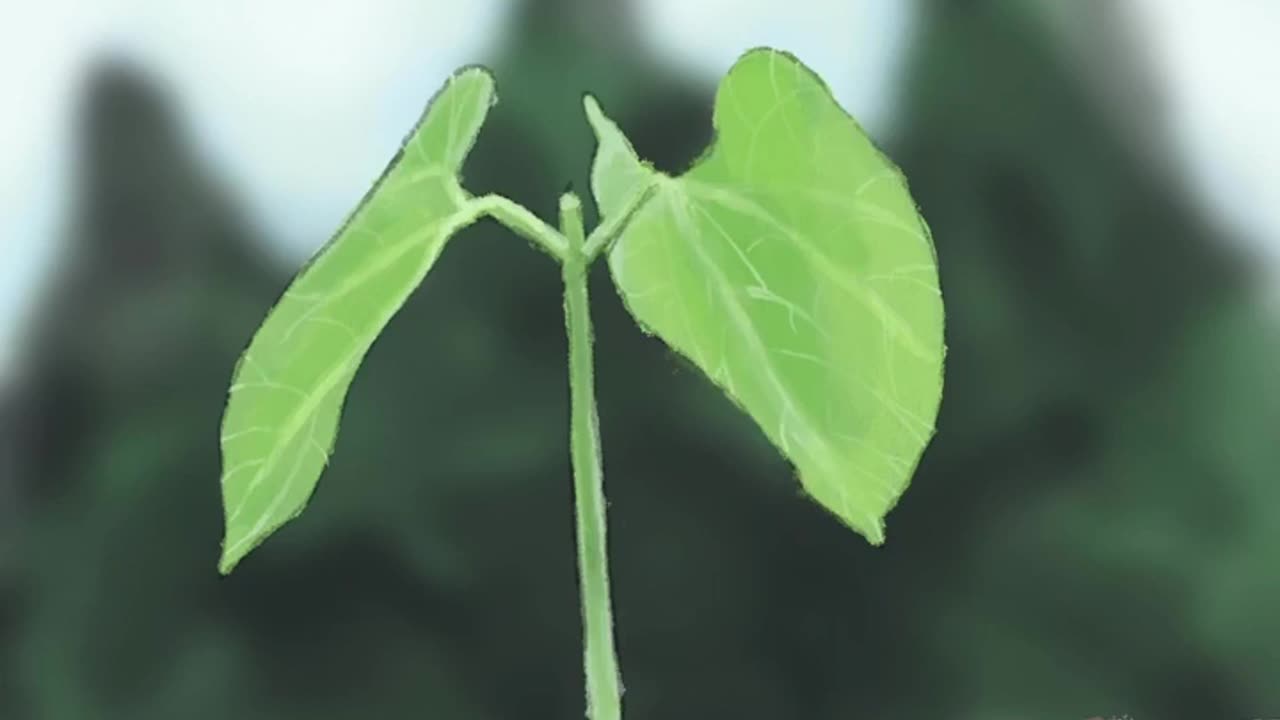 What We Believe 11: Growing in Christ #seventhdayadventist #sda #christ