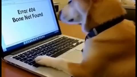 Doge ai battle promt