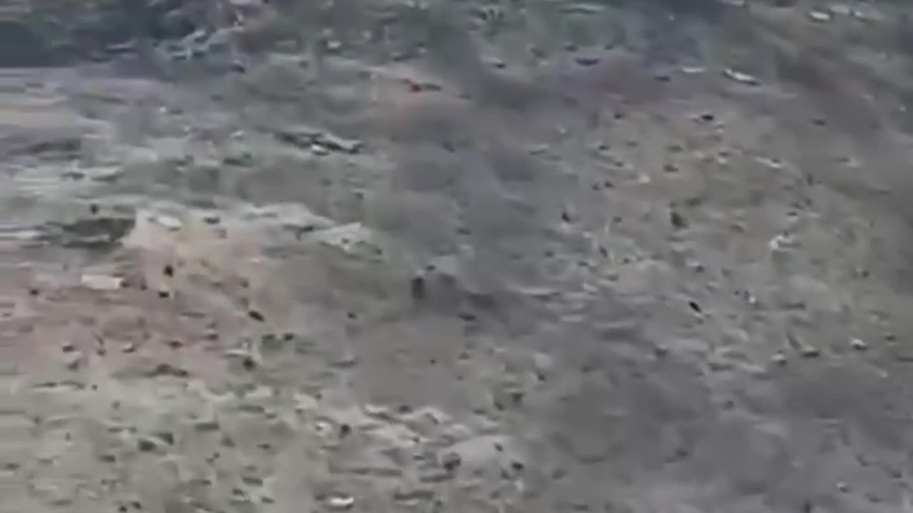 🔥☠️ Occupied Tokmak, Zaporizhzhia region.