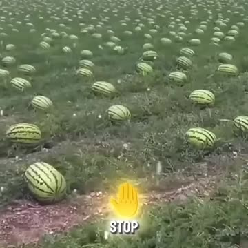 The_Banned_Farming_Tool!