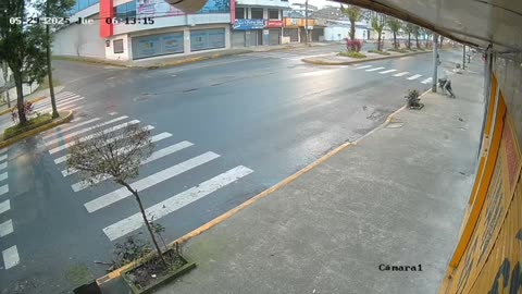 Two thieves tried to steal a bag, but the owner said not today.