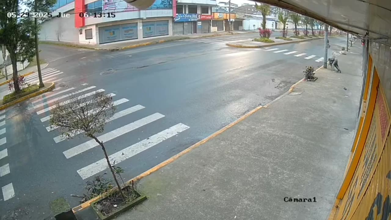 Two thieves tried to steal a bag, but the owner said not today.