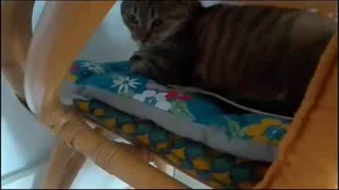 Would you please put the chair back?