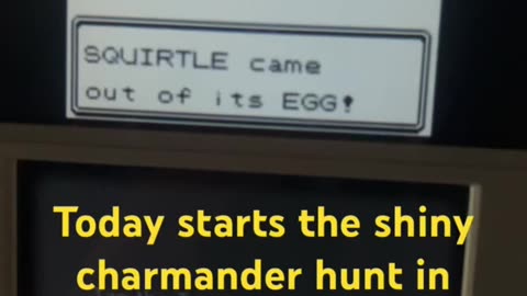 Media/News Rundown & Shiny hunting