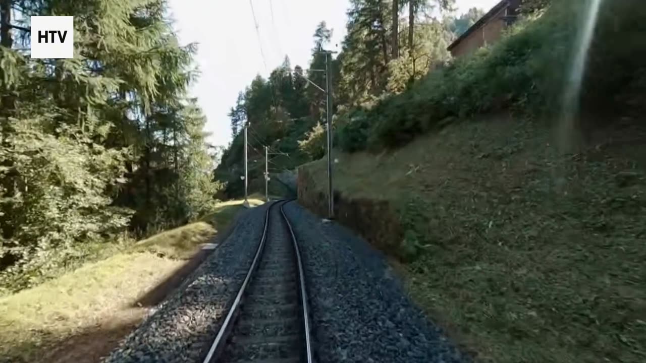 Tiny Beasts, Massive Impact