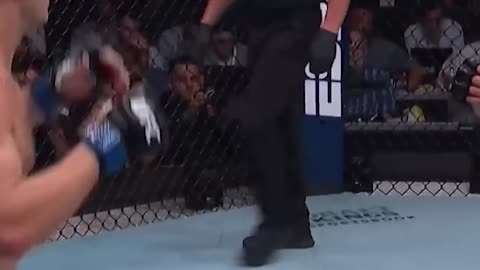 OH MY GOD PADDY PIMBLETT #ufc314