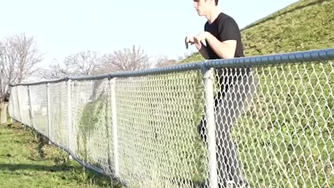 How Animals Get Over a Fence 😂