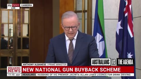 Anthony Albanese has announced a national gun buy back scheme