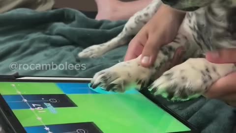 😂🤷 Bro Accepted This Life! | FunFM