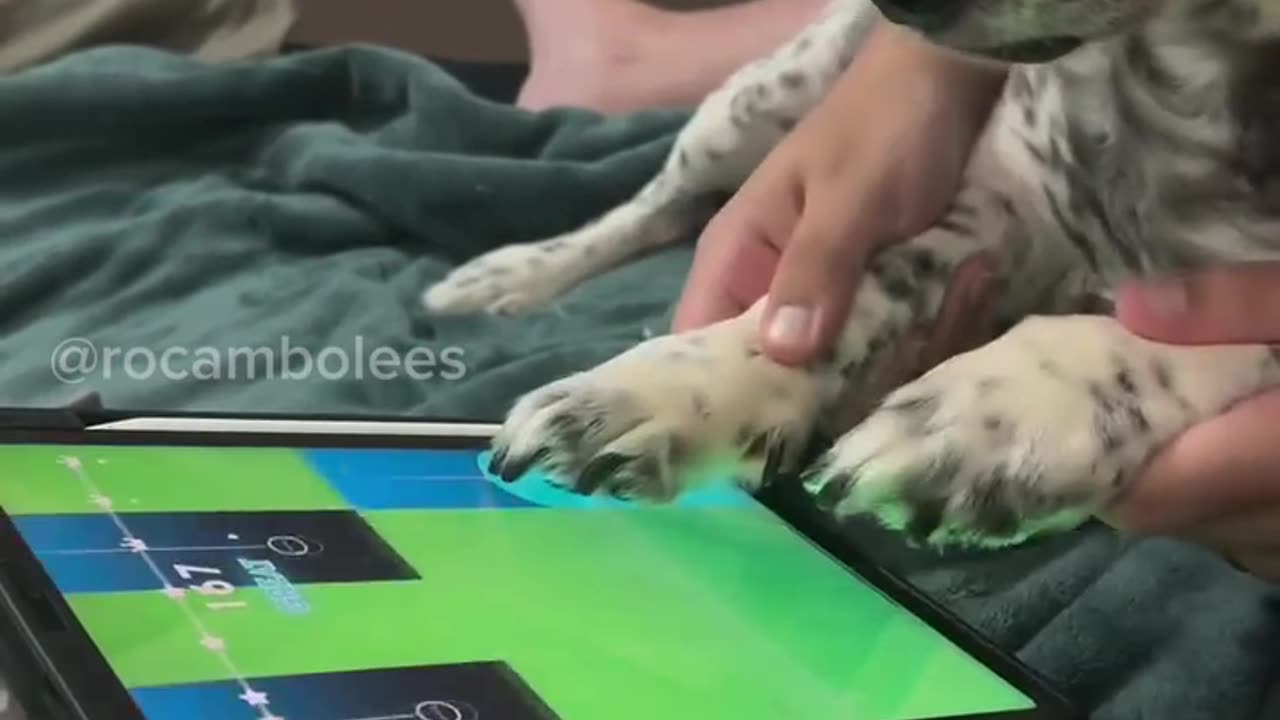 😂🤷 Bro Accepted This Life! | FunFM