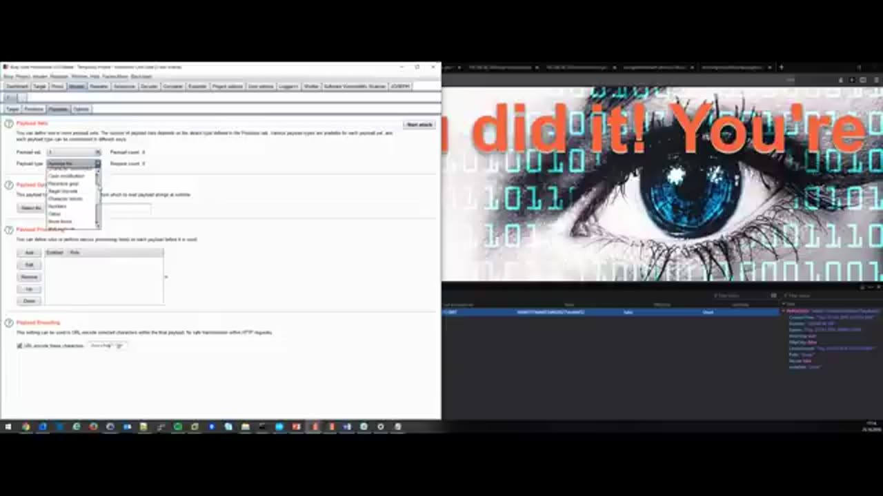 SANS Webcast: Web Hacking with Burp Suite