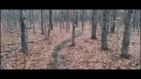 Italy Hill State Forest
