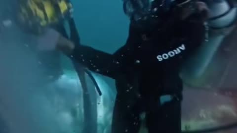 This Underwater Job Pays $100K+... But Would YOU Risk It