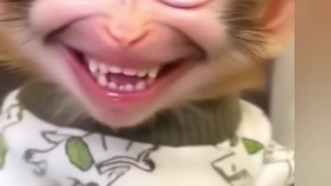 Funny Baby 😀 // Funny Moments 😀
