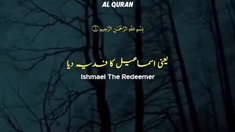 Qur’an Answer 3: Allah Reply to All Mankind | Quran Shots