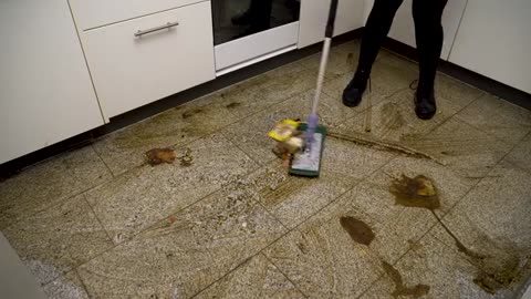 She Couldn’t Afford a $15,000 Professional Cleaning – So I Did It for Free 💖_part7