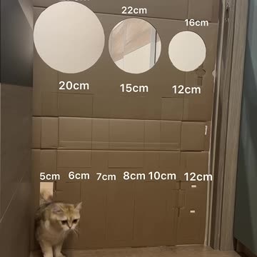 Try Not to Laugh: Funny Animals Compilation 2025