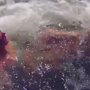 Untitled design (13)