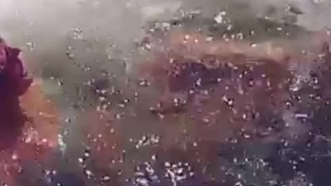 Untitled design (13)