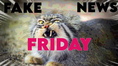 Jack gets a Birthday card on Fake News Friday