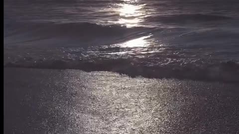 Daily Horoscope | Leo 🌟