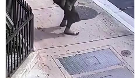 Funny video 2