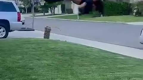 my pants fell