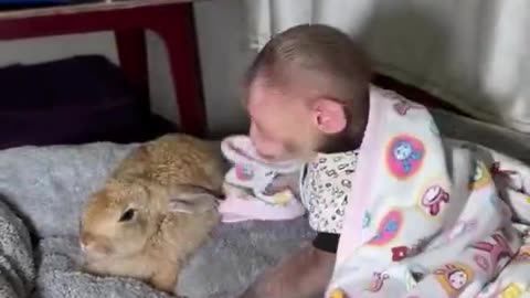 Sleepy Time