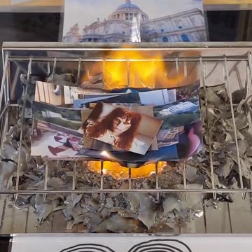 Tim Rifat TikTok Videos