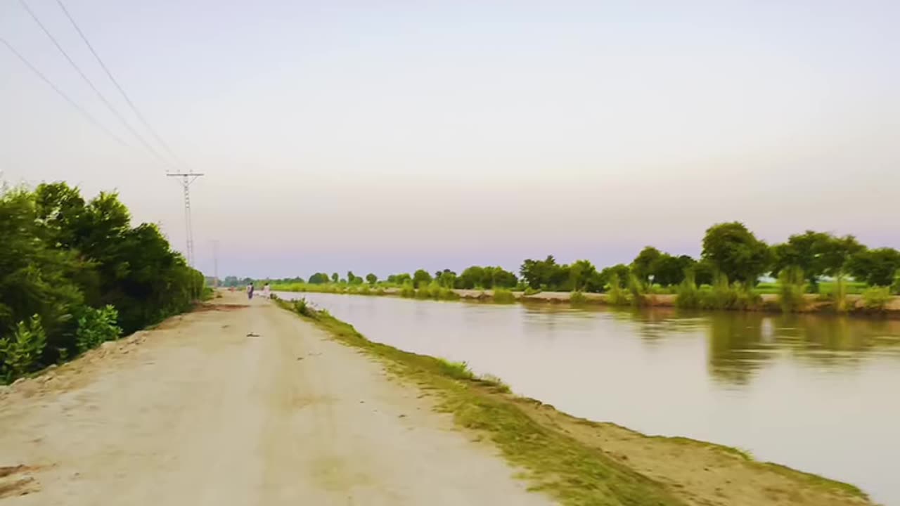 Countryside Calm Life Away from the City max records #maxrecords #larkana #sindh #Pakistan