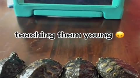 😂💡 You Won't Believe This Genius Idea! | FunFM