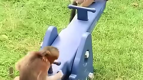 Funny video🤣