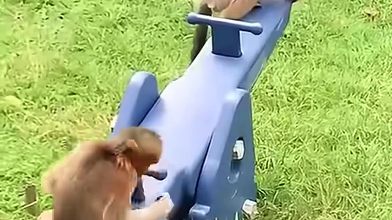Funny video🤣