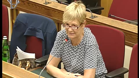 37 Commissione d'inchiesta COVID Audizione Villani 23-09-2025