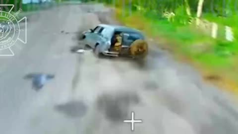 Ukrainian Dove Out of the Back of a Speeding Car