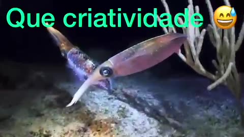 Relembrando o passado: Haverá um dia em que venceremos!