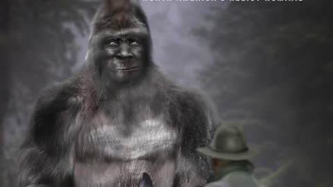 BIGFOOT TV SHOW # 3 SNOW SQUATCHIN. Ray Harwood, Montana and N. Idaho