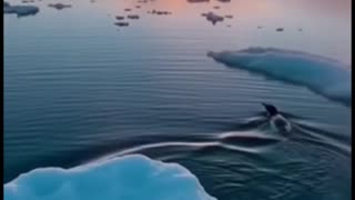 Bro standing there like ‘State your business, human