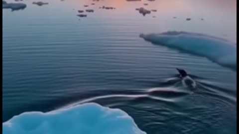 Bro standing there like ‘State your business, human